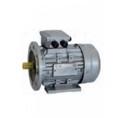 Three-phase electric motor with flange and legs (B3B5), IE3 Vella Mechanical Services Malta, Vella Mechanical Services Vella Mechanical Services Malta, Vella Mechanical Services Malta