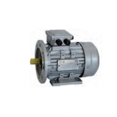 Three-phase electric motor with flange and legs (B3B5) IE2 Vella Mechanical Services Malta, Vella Mechanical Services Vella Mechanical Services Malta, Vella Mechanical Services Malta