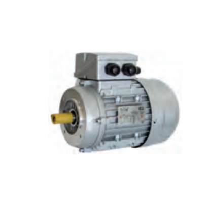Three-phase electric motor with B14 flange, IE2 Vella Mechanical Services Malta, Vella Mechanical Services Vella Mechanical Services Malta, Vella Mechanical Services Malta